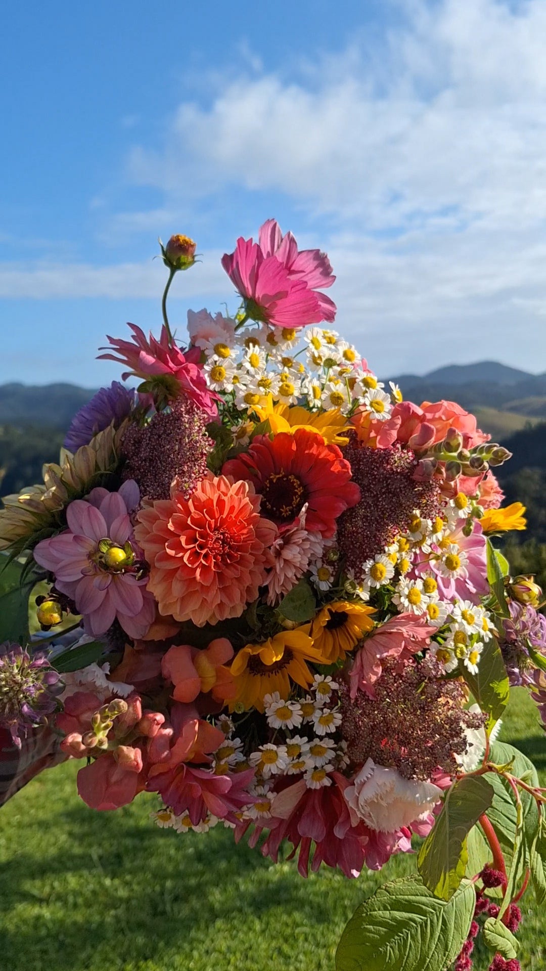 Fresh Flowers