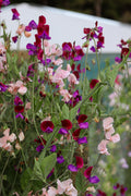DIY Flower Buckets